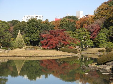 紅葉が彩りを添える秋の六義園　Rikugien Gardens