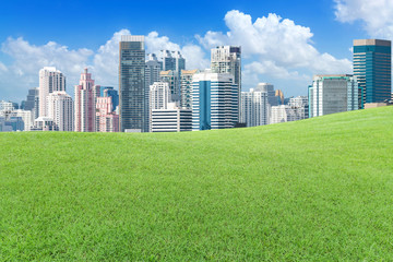 Green lawn outside the big city with cloud and blue sky