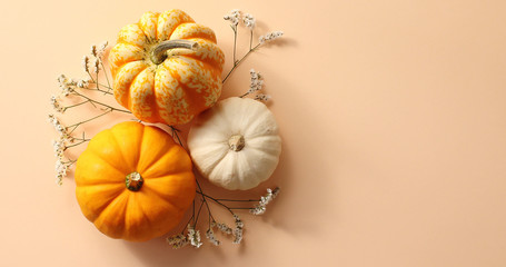From above view of orange and white pumpkins laid on herbs on beige background 