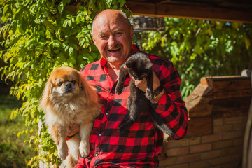 Active smiling senior man with a little cat and dog, modern pensioner life. Mature man lifestyle, positive emotions at old age, concept of pets 