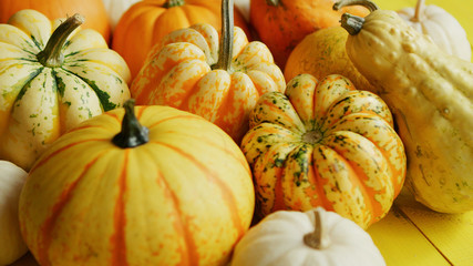 From above view of heap of ripe pumpkins laid on wooden background