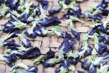 Butterfly pea
