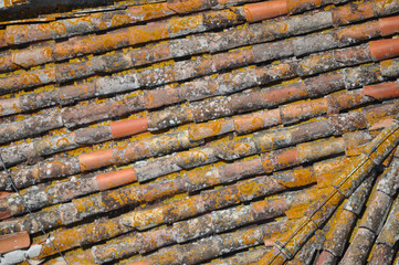 red roof tiles