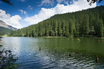 Transylvanian Romania Red Lake Lacu Rosu