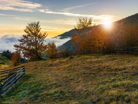 sunrise in carpathian rural area. fence and trees along the hill. cloud inversion in the distant valley