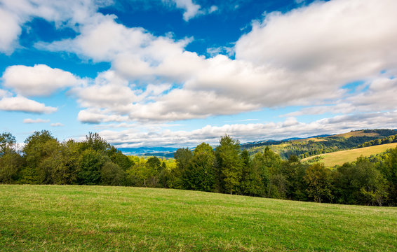 beautiful countryside in early autumn. grassy rolling hills with some trees. wonderful cloudscape on an azure sky above the landscape