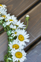 A part of a crown of daisies also known as bellis perennis on a chair © Janisphoto