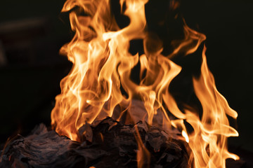Burning wood in flames with smoke