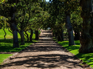 Beautiful road in Cape town