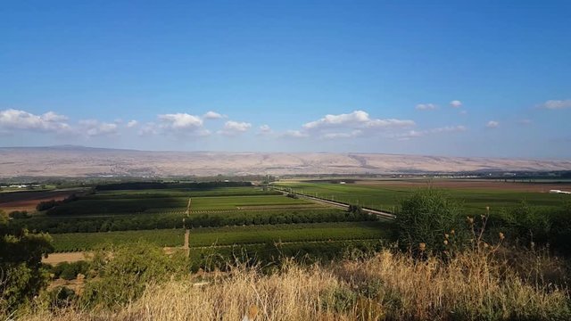 View on fields at summer time