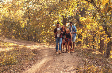 Obraz premium Group of four friends hiking together through a forest.