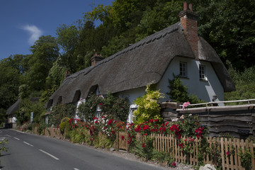 Fototapeta na wymiar Thathched Cottage,Wherwell,Hampshire ,England.