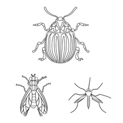 Isolated object of insect and fly logo. Set of insect and element stock vector illustration.