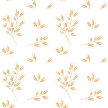 Oat pattern vector. Cereal plants. Oatmeal packaging design.