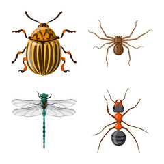 Vector design of insect and fly logo. Collection of insect and element vector icon for stock.