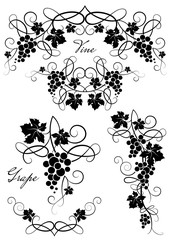 Set of decorative element from the vine on a white background. Branch of grapes. Vector illustration.