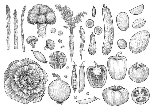Set of drawing vegetables and fruits Stock Vector by ©cat_arch_angel  62935825