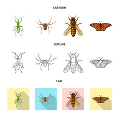 Vector design of insect and fly sign. Set of insect and element vector icon for stock.