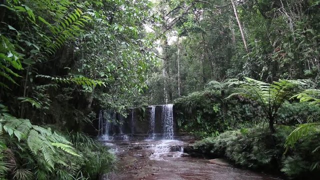 pristine lush jungle waterfall in Malaysia Borneo