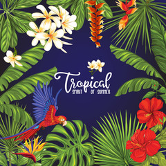 Tropical plants and parrot