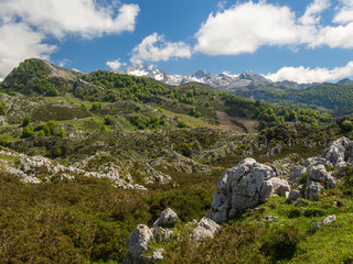Fototapeta na wymiar Landscape of the Picos de Europa in Asturias