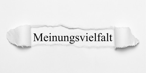 Meinungsvielfalt auf weißen gerissenen Papier