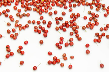 .Set of small red autumn berries on a white background.