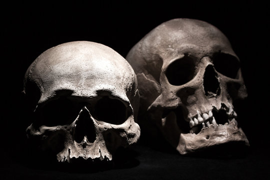 Human skulls on a black background. Drama concept. Selective focus