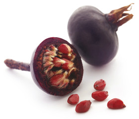 Rosa rugosa or beach rose black fruit