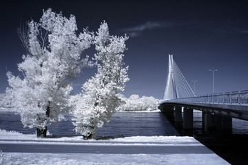 View of the bridge, infrared picture