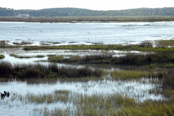 ville d'Arès, Réserve Naturelle des Prés Salés, département de la Gironde, France