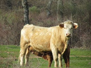 Madre e hijo