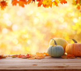 Naklejka na ściany i meble Autumn background with maple leaves and pumpkins.Harvest or Thanksgiving background