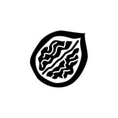 Black & white vector illustration of half walnut with shell. Flat icon of cut nut with kernel. Vegan & vegetarian food. Health eating ingredient. Isolated object