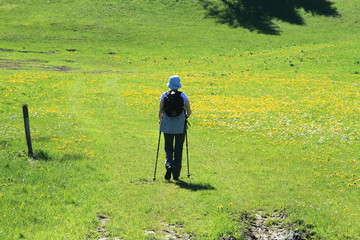 Balade dans les prairies des montagnes du Jura