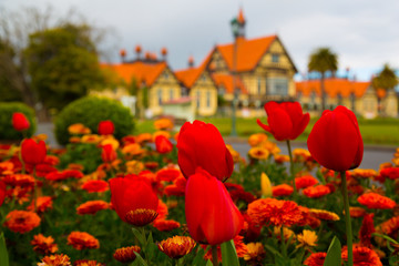 Government Gardens Rotorua 