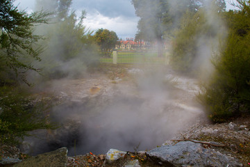 Thermal Activity in Government Gardens Rotorua 