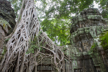 a temple in asia for buddha