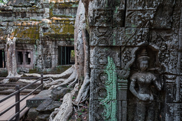 Buddha Temple in the nature of cambodia