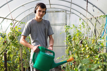 Cheerful man farmer listening to music and watering tomatoes in the greenhouse