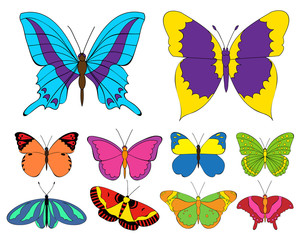 Fototapeta na wymiar vector, isolated, set of multicolored butterflies