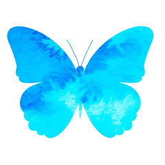 blue watercolor silhouette butterfly