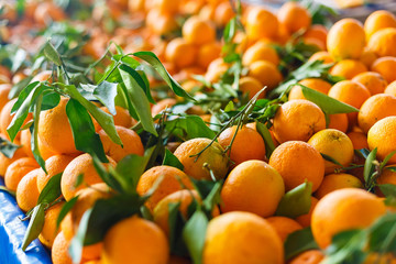 Fresh oranges in a market