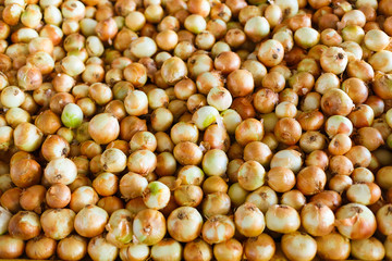 Yellow onion, Seedling, Growing onions background. Many growth onion plantations. Countryside herb and vegetable. Sale farmers's market. pattern texture