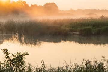 Fototapeta na wymiar Morning fog on lake in the rays of the rising sun