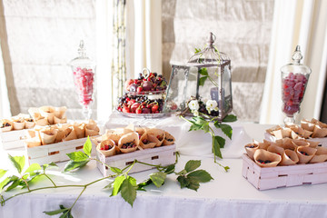 candy bar. Fresh Fruit in envelope on banquet table at business or wedding event venue. Self service or all you can eat - nectarine, peach, cherry, blueberry, grape