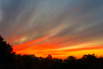 Fototapety na wymiar - Fototapeta24.pl