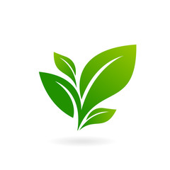 Logo of green leaf ecology nature element vector icon.