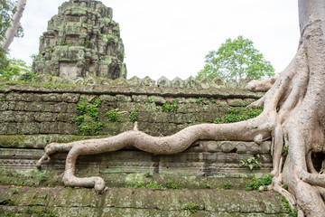a temple in asia for buddha