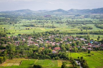 Fototapeta na wymiar Landscape photo of rice and village in thailand